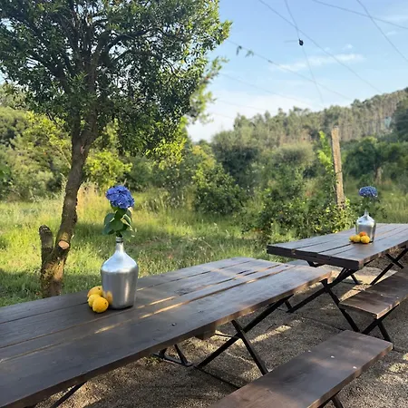 Quinta Do Fundao * Sao Bras (Viana do Castelo)